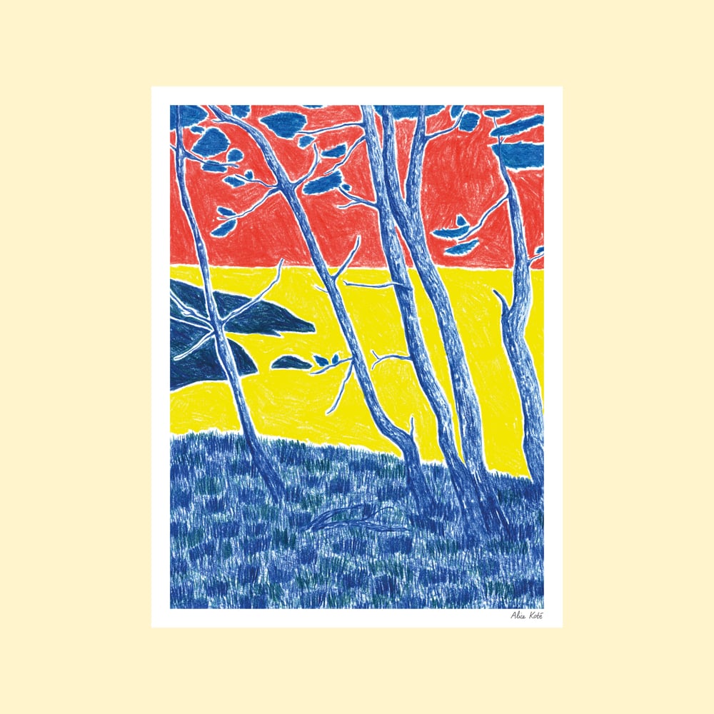 Image of Les pins de Crozon