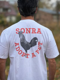 Image 2 of SONRA Adopt A Pet T (DENIZLI HOROZU)