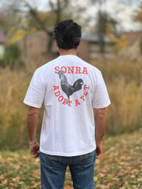 Image 1 of SONRA Adopt A Pet T (DENIZLI HOROZU)