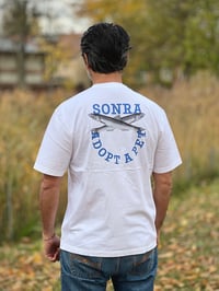 Image 1 of SONRA Adopt A Pet T (HAMSI)