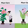 Plant Care