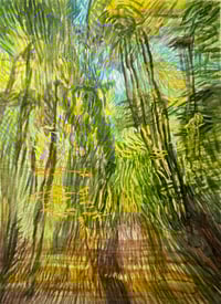 Image 1 of Wompatuck State Park