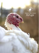 Image 1 of One-Time Turkey Sponsorship