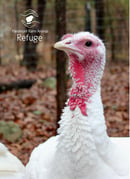 Image 3 of One-Time Turkey Sponsorship