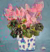 Pink Cyclamen and Spots