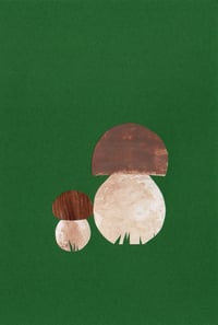 Image 1 of Penny Bun
