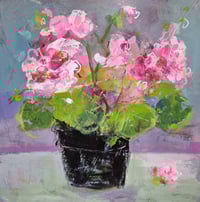 Pink Geranium