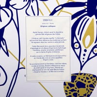 Image 4 of Poster Imbolc