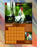 Image 2 of NEW 2024 Calendar