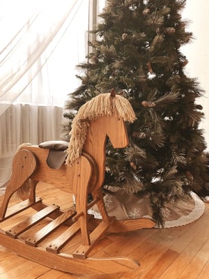 Image of Bella Blue Photography Studio Mini Session Nov 16th Hartford CT