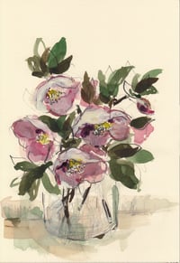 Hellebores no. 6