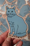 Secret Cat Sticker