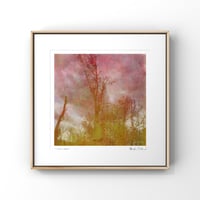 Image 2 of I am a tree