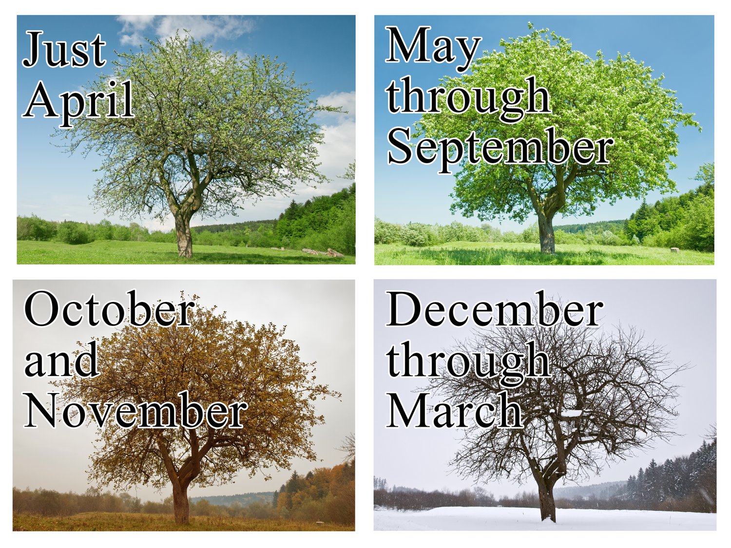 Image of 2024 Honest Calendar