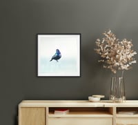 Image 2 of PALESTINSK SOLFUGL - Limited prints - Donasjons-kunst