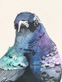 Image 4 of PALESTINSK SOLFUGL - Limited prints - Donasjons-kunst