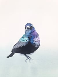 Image 5 of PALESTINSK SOLFUGL - Limited prints - Donasjons-kunst