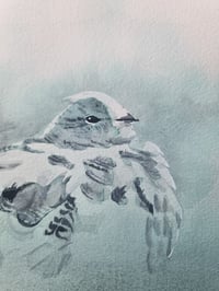 Image 2 of SVALBARD ROCK PTARMIGAN - Original