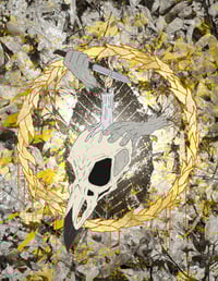 A Light Amongst Decay