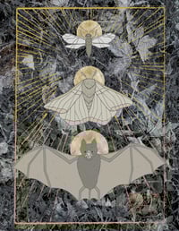 Image 1 of Night Dweller