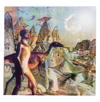 Image 1 of Timelash 'Feral Lands & Forbidden Cities' 12" vinyl 
