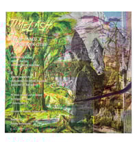 Image 2 of Timelash 'Feral Lands & Forbidden Cities' 12" vinyl 