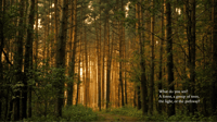 Image 3 of Spiritual Wellbeing (Religious/Christ Based) - Online & In-Person