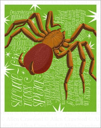 A Wild Promise: Spuce-Fir Moss Spider