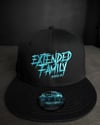Extended Family Signature Snapback