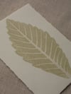 Sweet Chestnut Leaf Print - A6 - Original Art - Sage Green