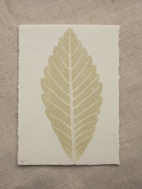 Image 1 of Sweet Chestnut Leaf Print - A6 - Original Art - Sage Green
