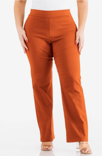 At the Office Pants- Curves of Sashay Rust