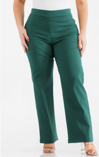 At the Office Pants-Curves of Sashay Hunter Green