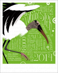A Wild Promise: Wood Stork