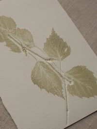 Image 2 of Birch Leaves Print - A6 - Original Art - Sage Green