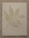 Ash Leaf Print 3 - A6 - Original Art - Sage Green 