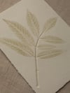 Ash Leaf Print 3 - A6 - Original Art - Sage Green 