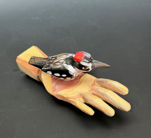 Image of Woodpecker in Hand- Stan Peterson