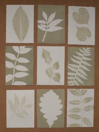 Image 3 of Birch Leaves Print - A6 - Original Art - Sage Green