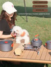 Camping Gas Stove 2600W Portable Folding Outdoor Stove