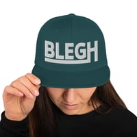 Image 4 of BLEGH SKATE SNAPBACKS