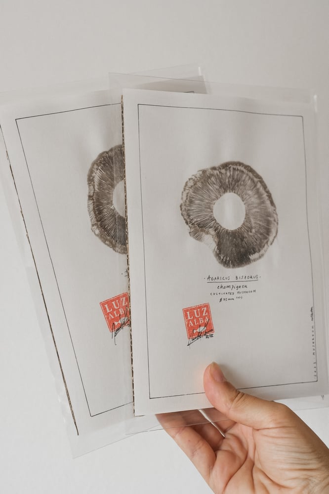 Image of Cogumelos | originals