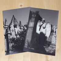 Image 2 of Cemetery Photo Prints