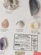 Image of Conchas do Mar | Sea shells