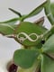 Image of Love Dogs Bracelet