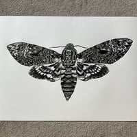 Image 1 of Death Head Hawk Moth Original Lino Print