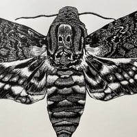 Image 3 of Death Head Hawk Moth Original Lino Print
