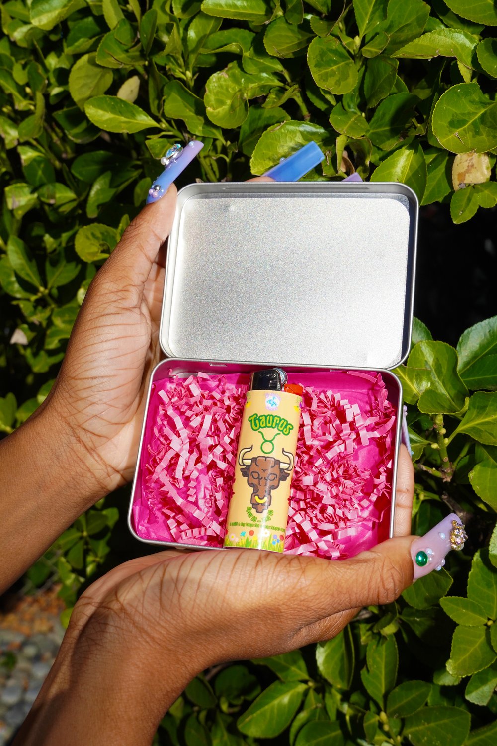 Image of Taurus Lighter