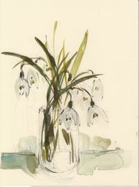 Snowdrops no. 1