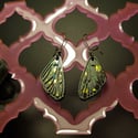 Butterfly Wings Earrings small 0 black 